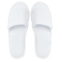 slipper coral open